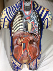 Tribal Tattoo Bust