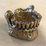 Old jaw bone ring