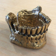 Old jaw bone ring